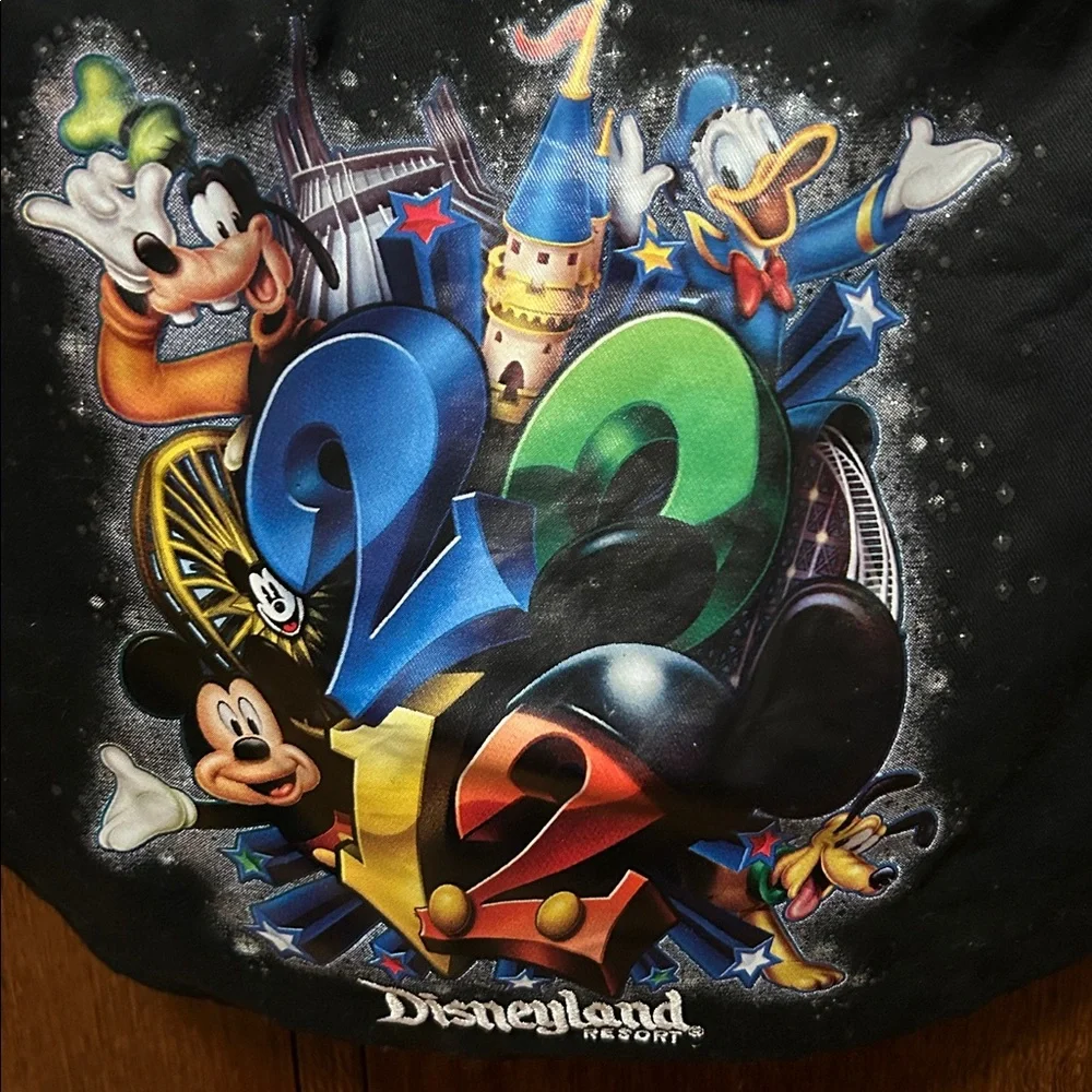 Disneyland 2012 Black Backpack with Colorful Characters